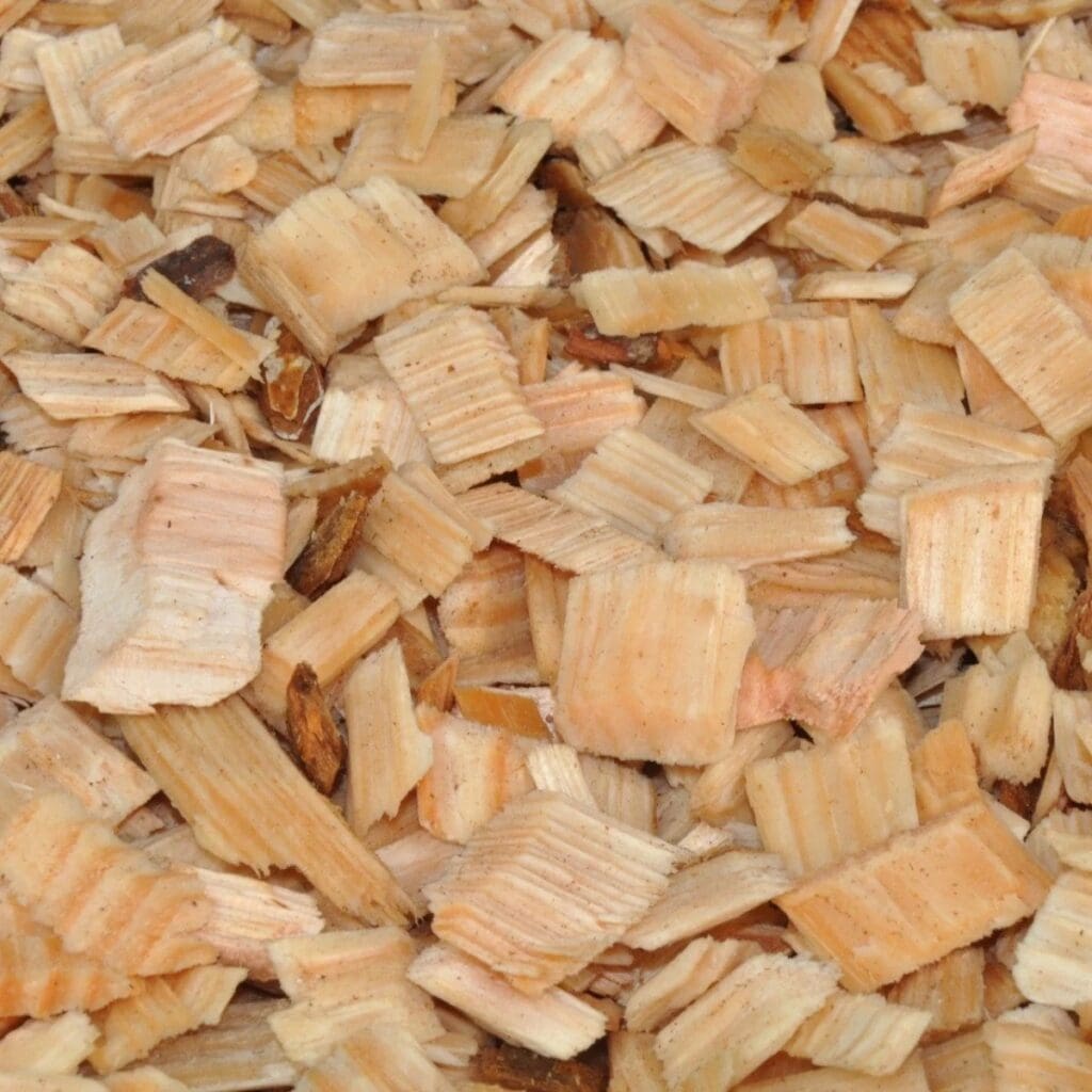 Pine Bark